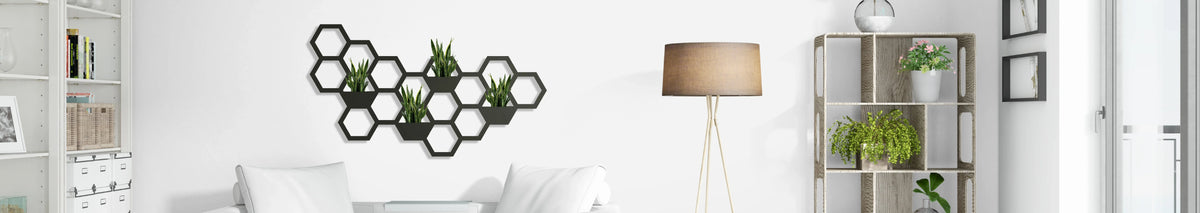 Plant Holders