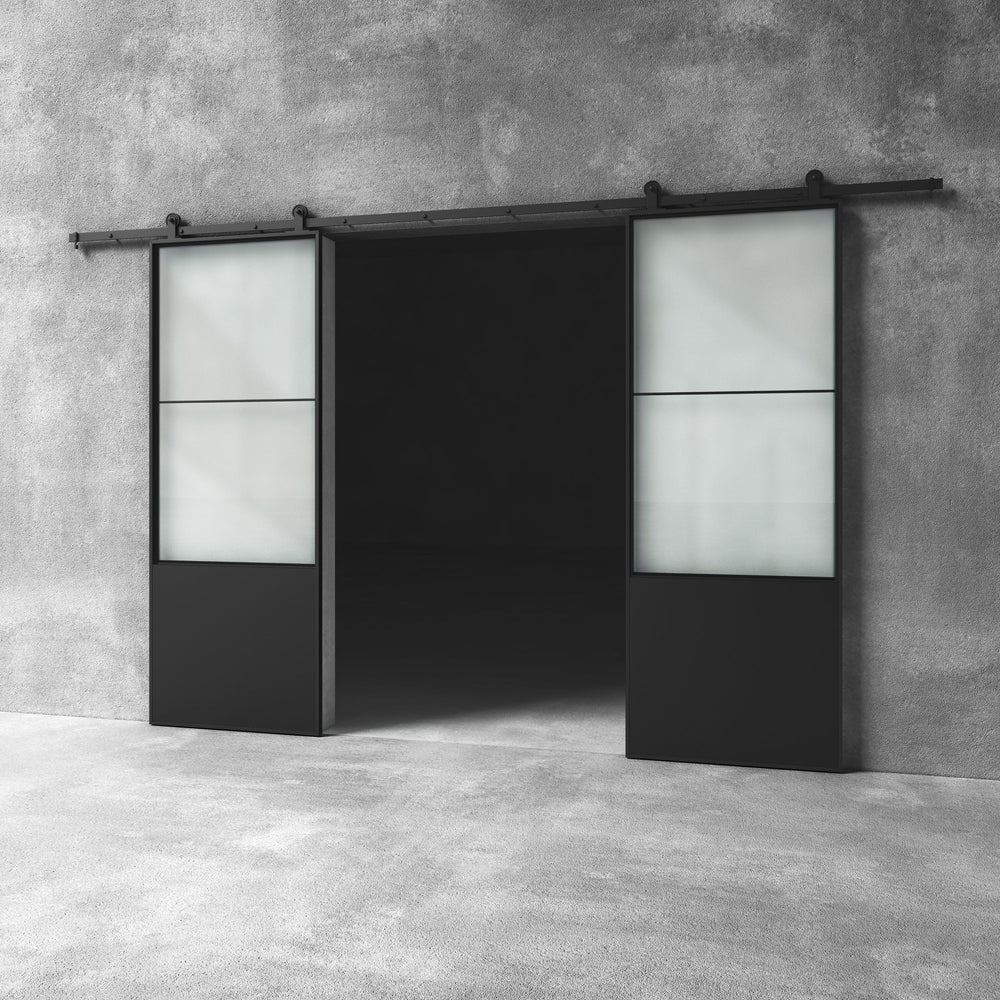 Glass Barn Door D19 Custom Size