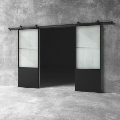 Glass Barn Door D19 Custom Size