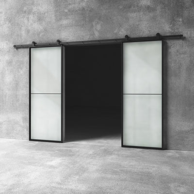 Glass Barn Door D18 Custom Size