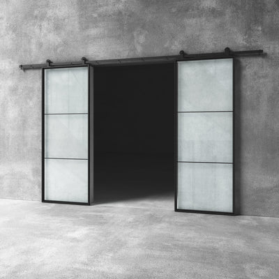 Glass Barn Door D16 Custom Size