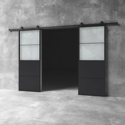 Glass Barn Door D12 Custom Size