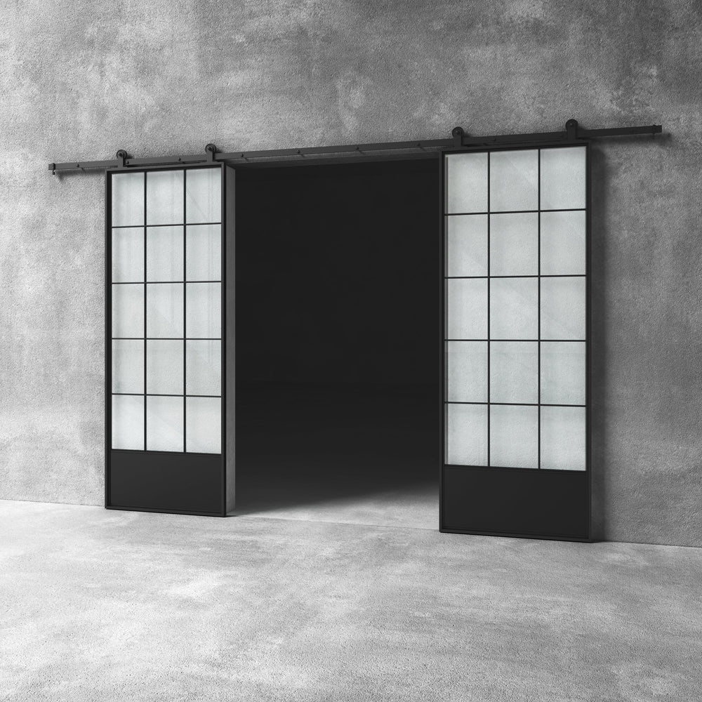 Glass Barn Door D14 Custom Size
