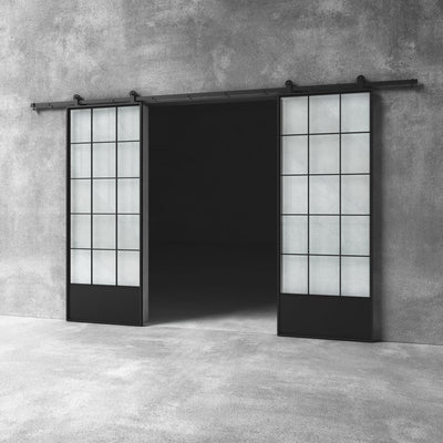 Glass Barn Door D14 Custom Size