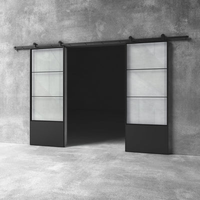 Glass Barn Door D15 Custom Size