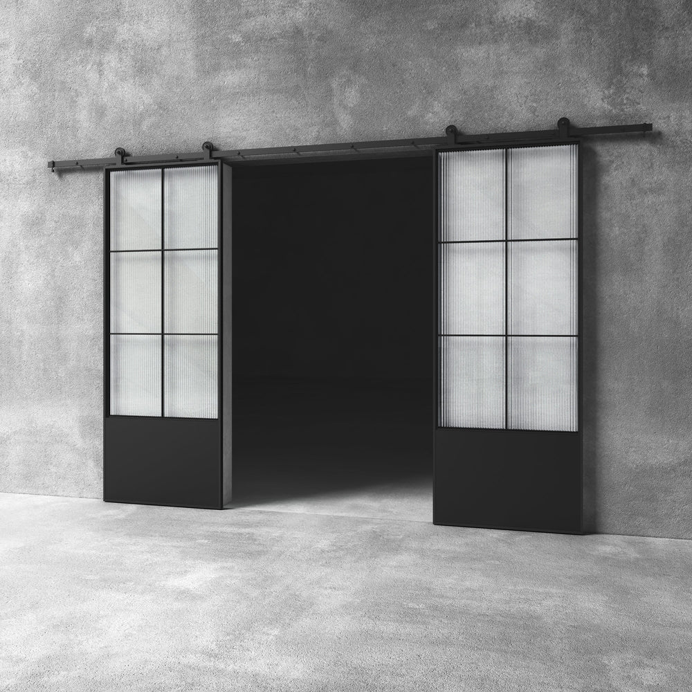 Glass Barn Door D10 Custom Size