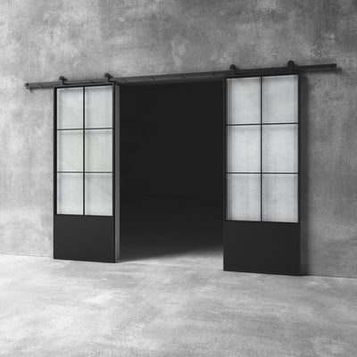 Glass Barn Door D10 Custom Size
