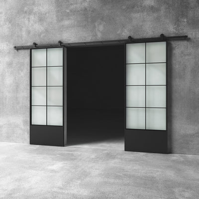 Glass Barn Door D13 Custom Size