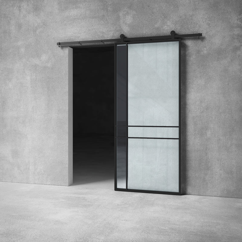Glass Barn Door D013