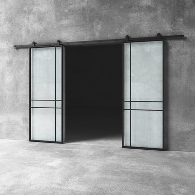 Glass Barn Door D21