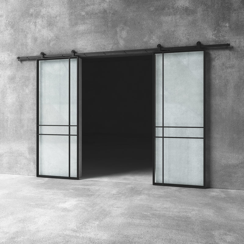 Glass Barn Door D21