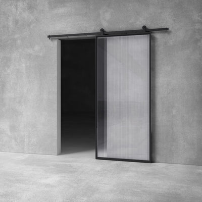 Glass Barn Door D010