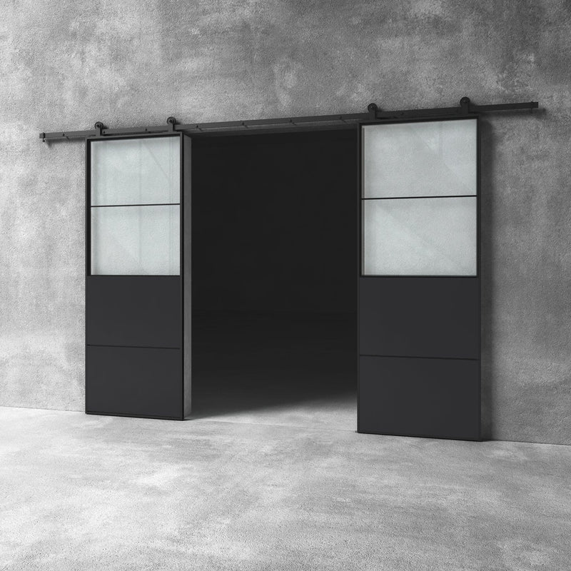 Glass Barn Door D12