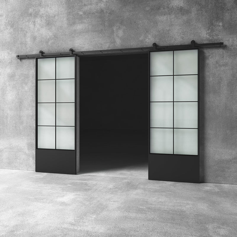 Glass Barn Door D13