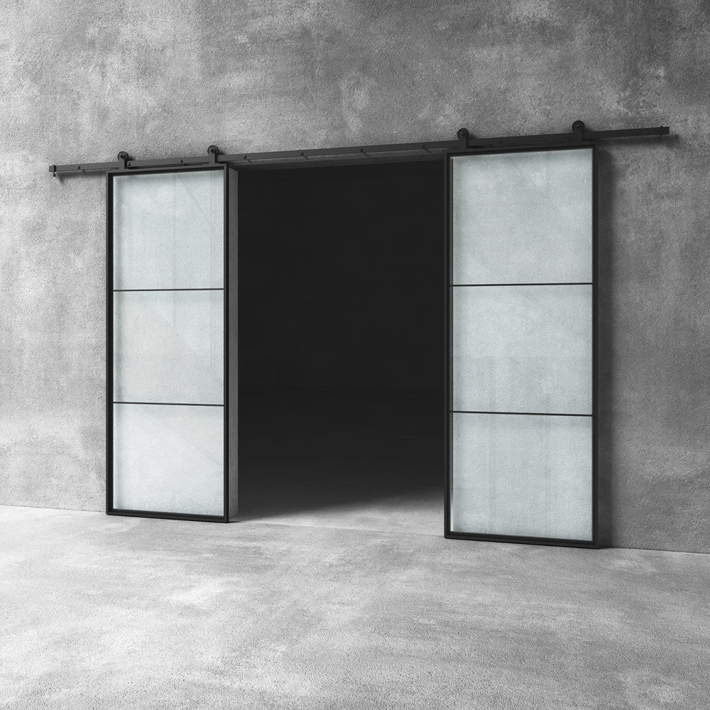 Glass Barn Door D16