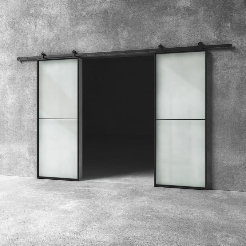 Glass Barn Door D18