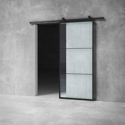 Glass Barn Door D09