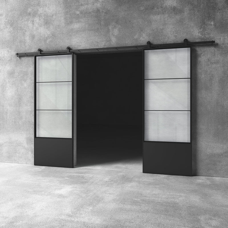 Glass Barn Door D15