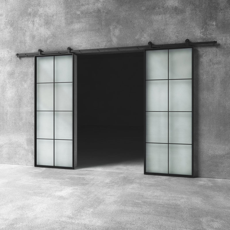 Glass Barn Door D17