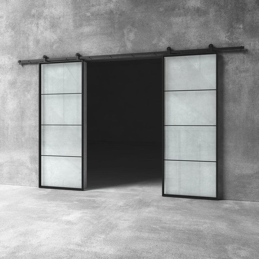 Glass Barn Door D20