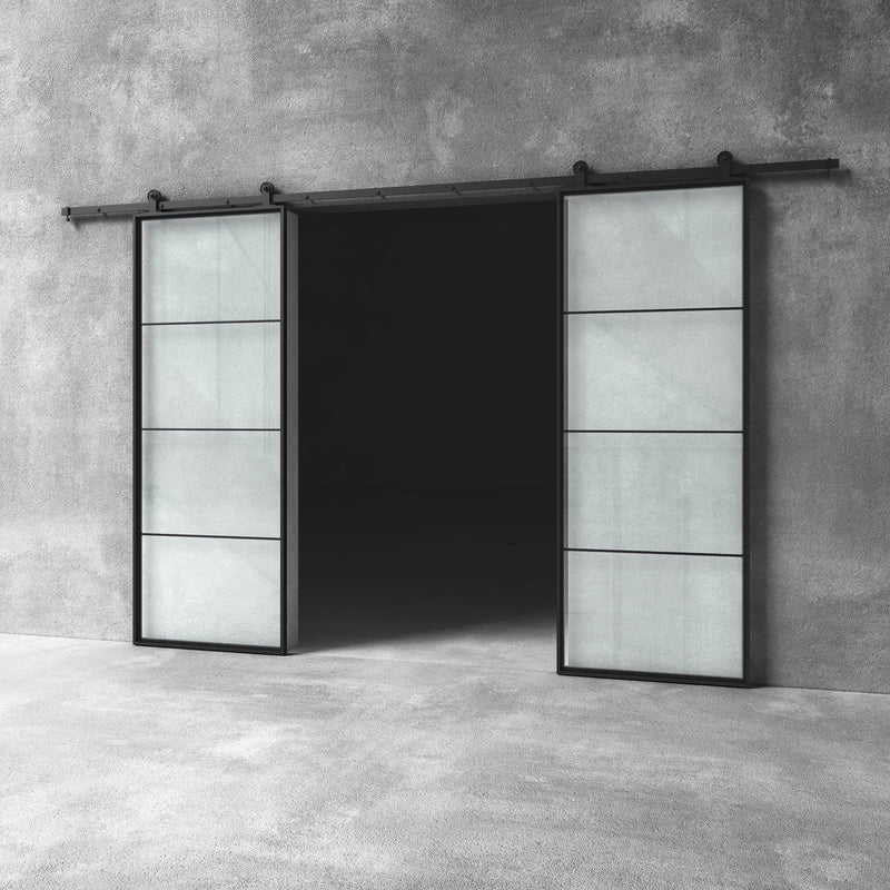 Glass Barn Door D20