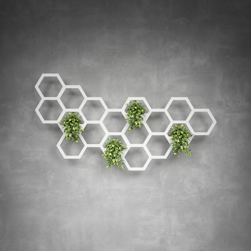 Hive Plant Holder Medium
