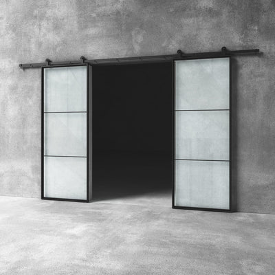 Glass Barn Door D16 - Design11