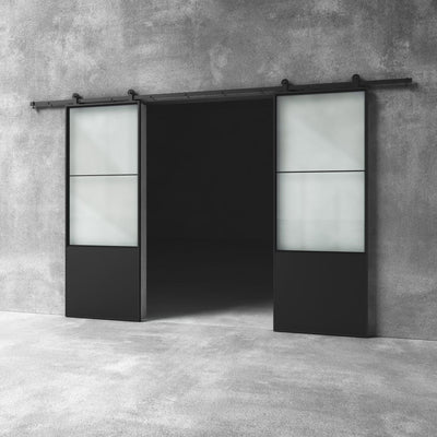 Glass Barn Door D19 - Design11