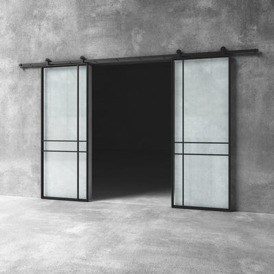 Glass Barn Door D21 - Design11
