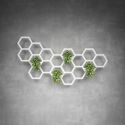 Hive Plant Holder Medium - Design11