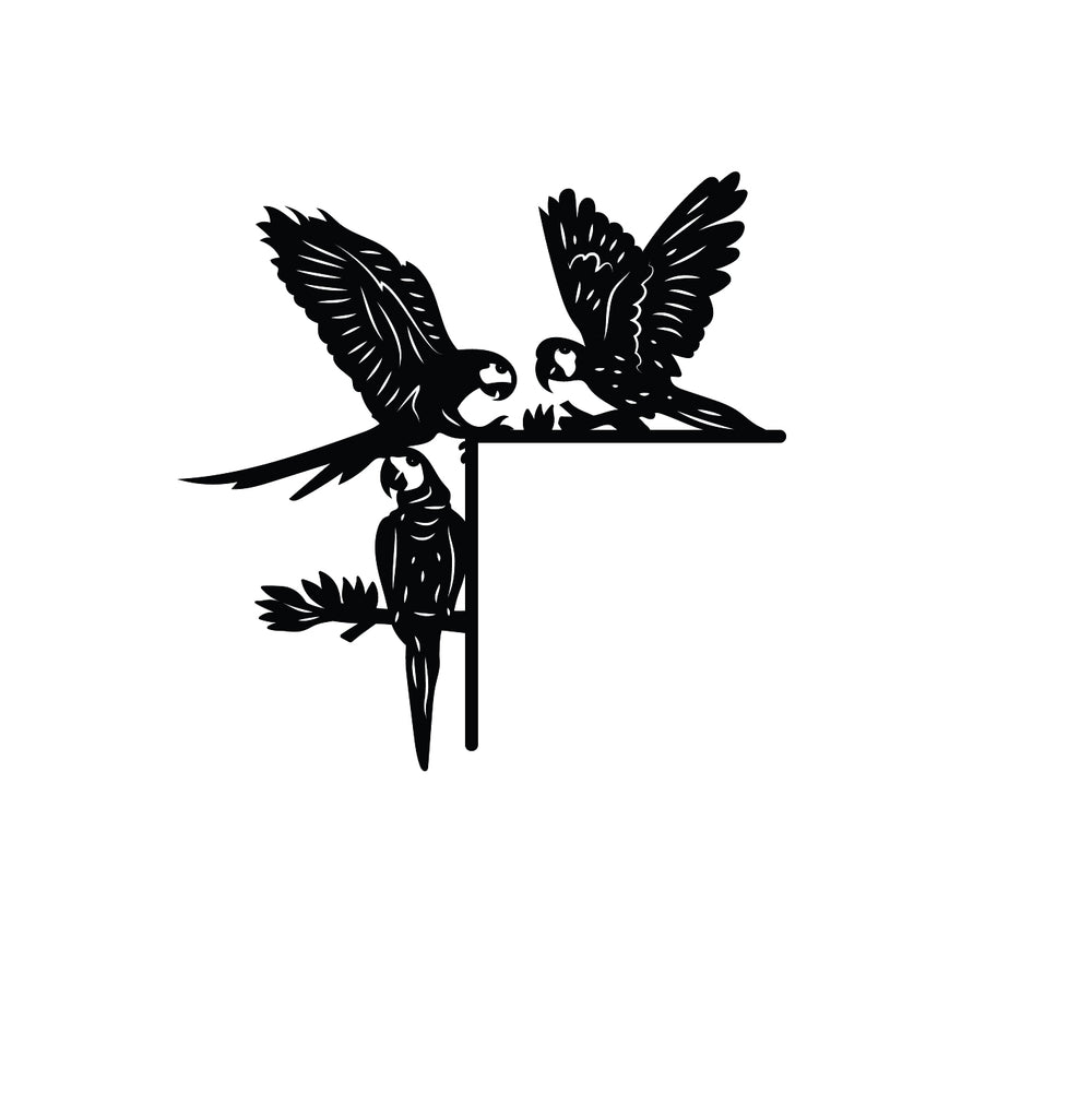 Bird Frame 5