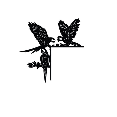 Bird Frame 5