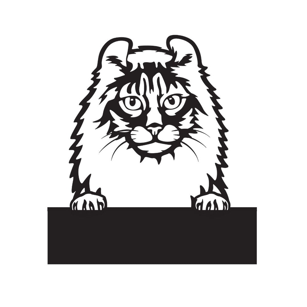 American Curl with Custom Text