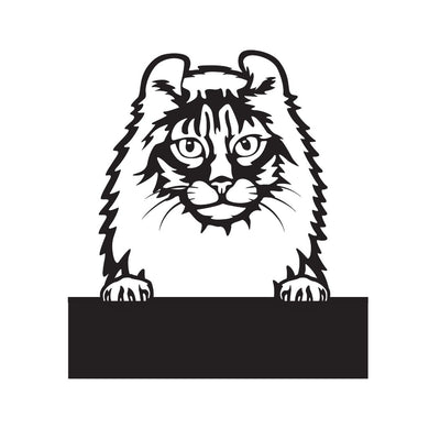 American Curl with Custom Text