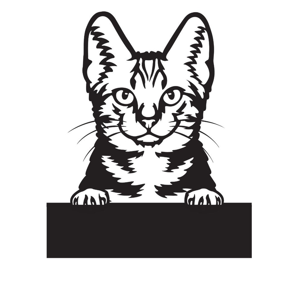 American Shorthair with Custom Text