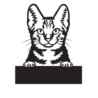 American Shorthair with Custom Text
