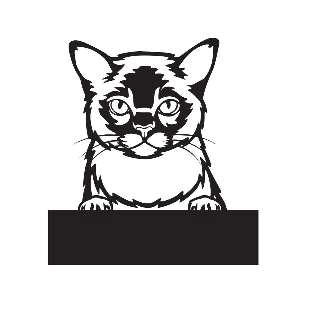 Burmese with Custom Text