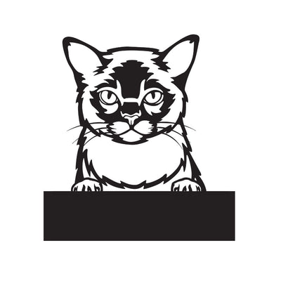 Burmese with Custom Text