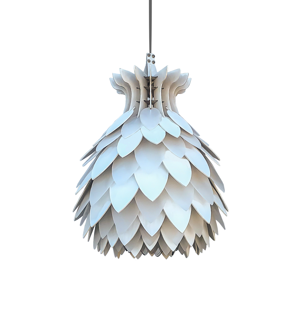 Open Protea White Light