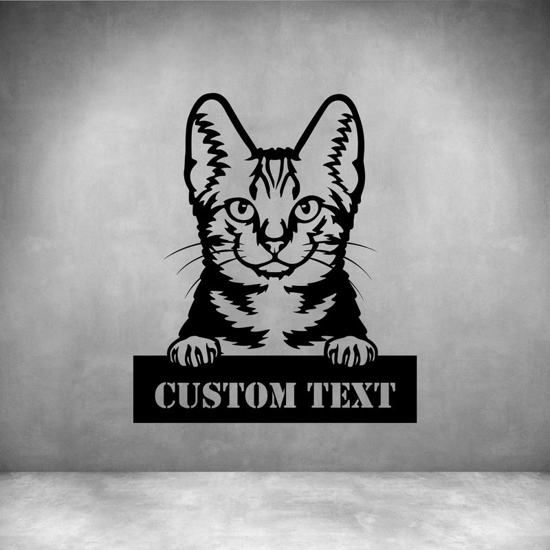American Shorthair with Custom Text