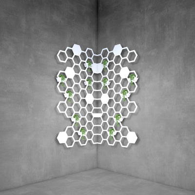 Hive plant holder - Design11