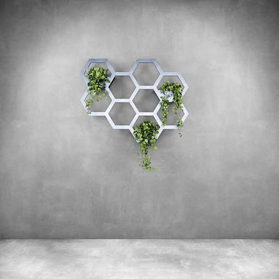 Hive Plant Holder Small - Design11