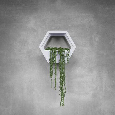 Single Hive Plant Holder - Design11