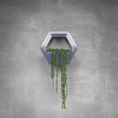 Single Hive Plant Holder - Design11