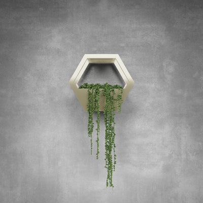 Single Hive Plant Holder - Design11
