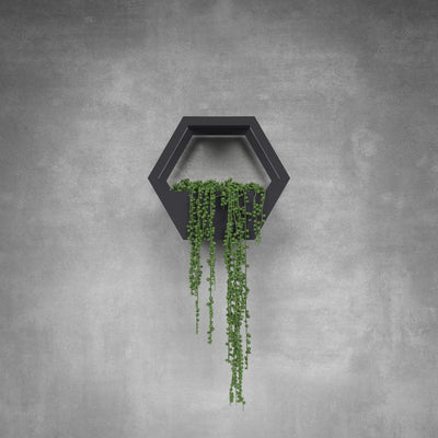 Single Hive Plant Holder - Design11